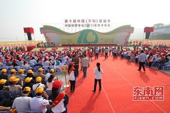 第十届中国（平和）蜜柚节今天开幕 以柚为媒营造商机