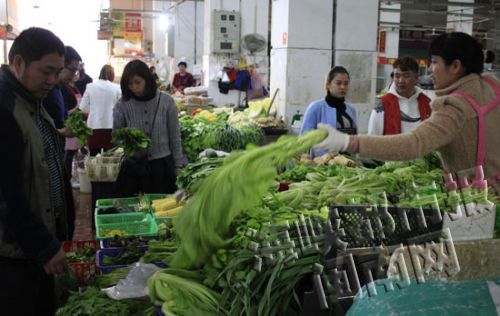 漳州市区多个菜市场菜价下调 气候回温增加收成