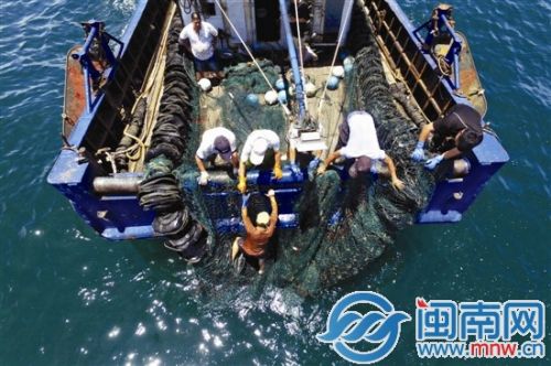 渔网偶尔会在海底刮擦礁石等，造成破裂，收网时，破裂的渔网被船尾勾住，甲板长在船员协助下进行处理